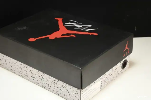 HYPE Retro Ducks 257-255275 Jordan Duckman 4 Oregon 0604
